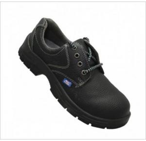 Allen Cooper AC-7001 Steel Toe Safety Shoes, Size: 9